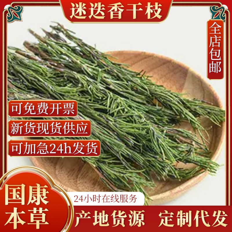 Rosemary Wholesale Rosemary Dried Branches Edible Grade Western Restaurant Spice Fried Steak Seasonal New Arrivals Large Price and Excellent Price