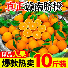 【产地直发】正宗赣南脐橙江西橙子新鲜水果10斤时令孕妇甜橙包邮