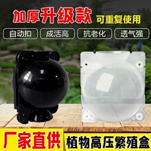 �޽Ӹ߉�����֦����Ǥ������ֲ���ľ�߉�������ֳ����Ǥ���辰��