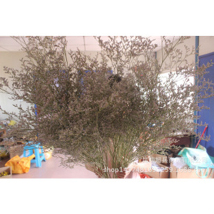 ��С�����˲ݡ���ϸɻ����˲��������ˇС�������㻨��DIY����