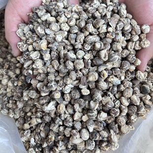 ��ƷС������500g�r�����خa���xĢ����؛����С�㹽���]
