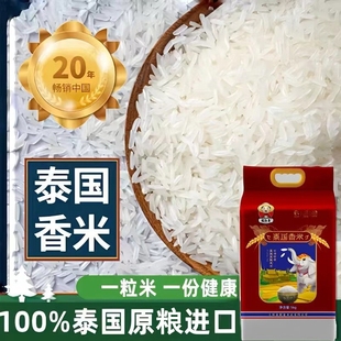 ����̩�����״���10�����������؈���נN���L�������lԴ�^