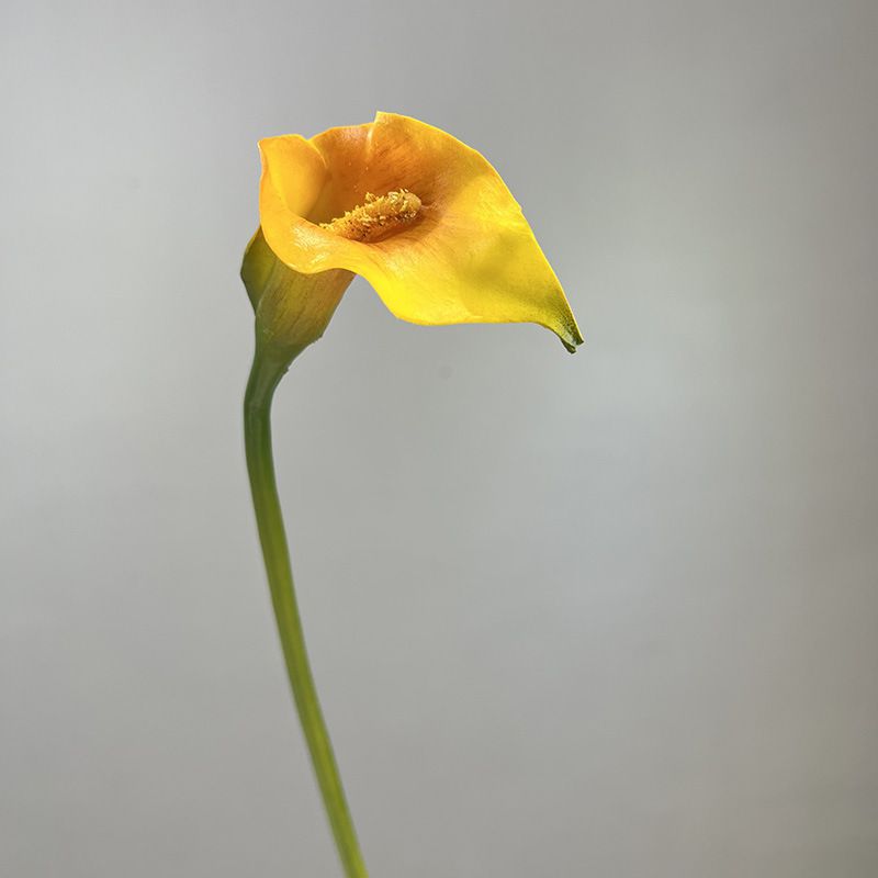 노란색