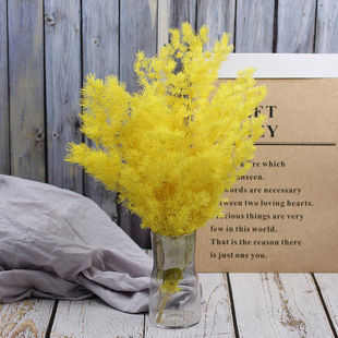 ��ϏS��ֱ�l�������R�� ��������ѩ��diy�����ָ������rֲ��