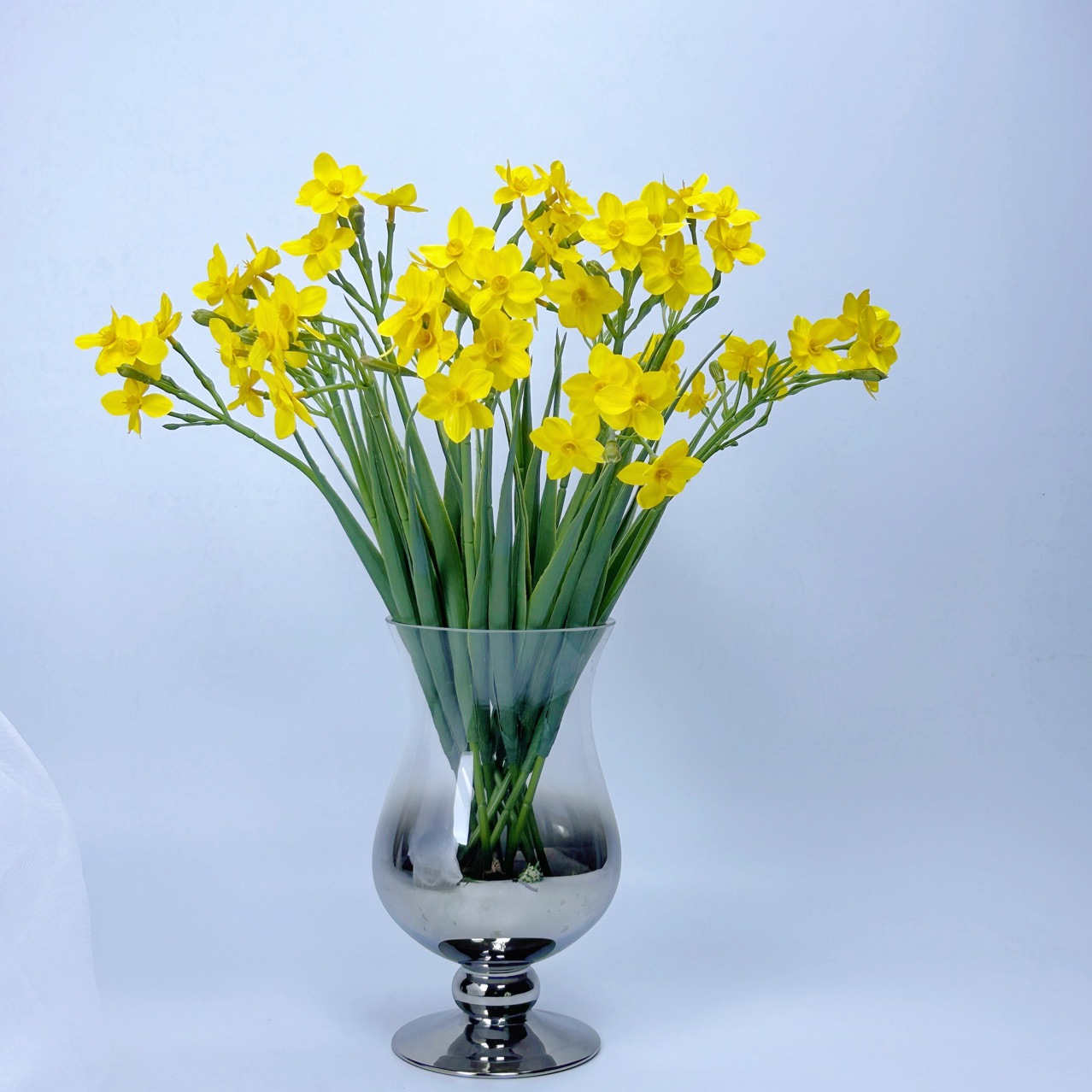 单枝水仙花仿真花摆件鸡蛋花客厅餐桌花摆设假花洋水仙盆景花