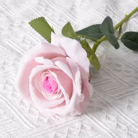 Large velvet rose pink