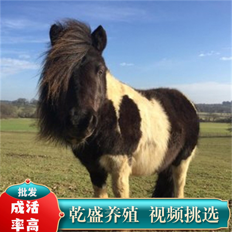 lQDPJwuZWSNJEbnNASzNAZCw7scc0C