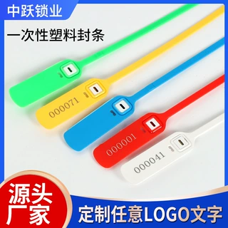 源厂批发一次性物流封铅集装箱物流封签扎带行李箱绑带标牌挂签锁
