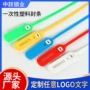 一次性标牌扎带封签