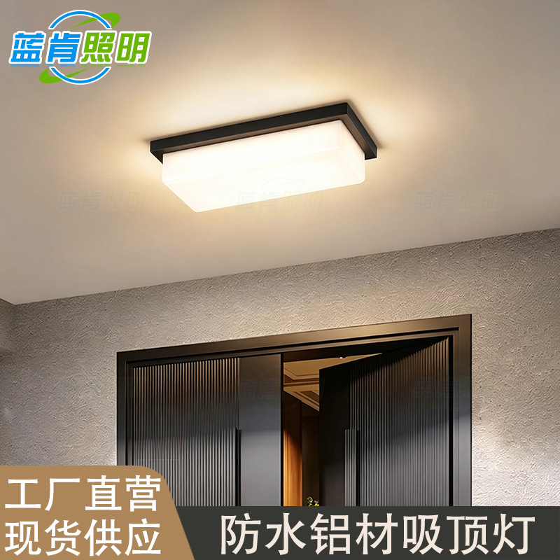 Outdoor Waterproof Ceiling-Mounted Moisture-Proof and Mosquito-Proof Led Ceiling Light for Villa Entrance, Courtyard, Corridor, and Balcony Outdoor Waterproof Ceiling-Mounted Moisture-Proof and Mosquito-Proof Led Ceiling Light for Villa Entrance, Courtyard, Corridor, and Balcony