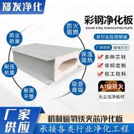 硫氧镁夹芯彩钢板 手术室吊顶隔断保温抗菌洁净板 阻燃防火净化板