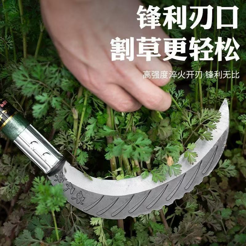 微信图片_202504141639261.jpg