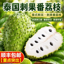 【顺丰发货】刺果番荔枝果红毛榴莲释迦果罕见水果品种新鲜采摘发