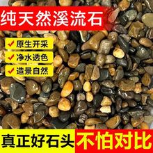 溪流石底沙鱼鱼缸造景底砂天然装饰乌龟化妆原生雨林水族箱沙子