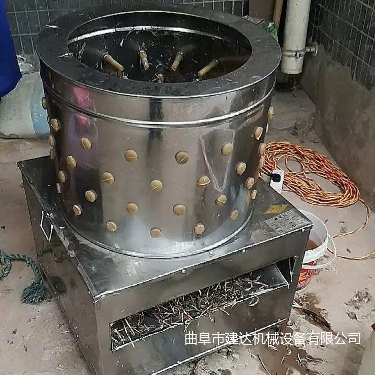 不锈钢脱毛机鸡鸭鹅用 立式电动家禽拔毛器 肉鸡打毛机批发价格