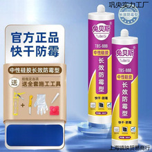 ͸�������z�ܷ��z�T�����l�z��ճ�ȷ�ˮ��ù�N�l�ɰ��RͰ�zˮ���l