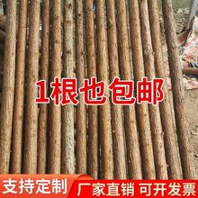 ������Ƥɼľԭľ��ľ����b��쾰ľ�^��ľ֧�ΗU���T���Ӹ�����