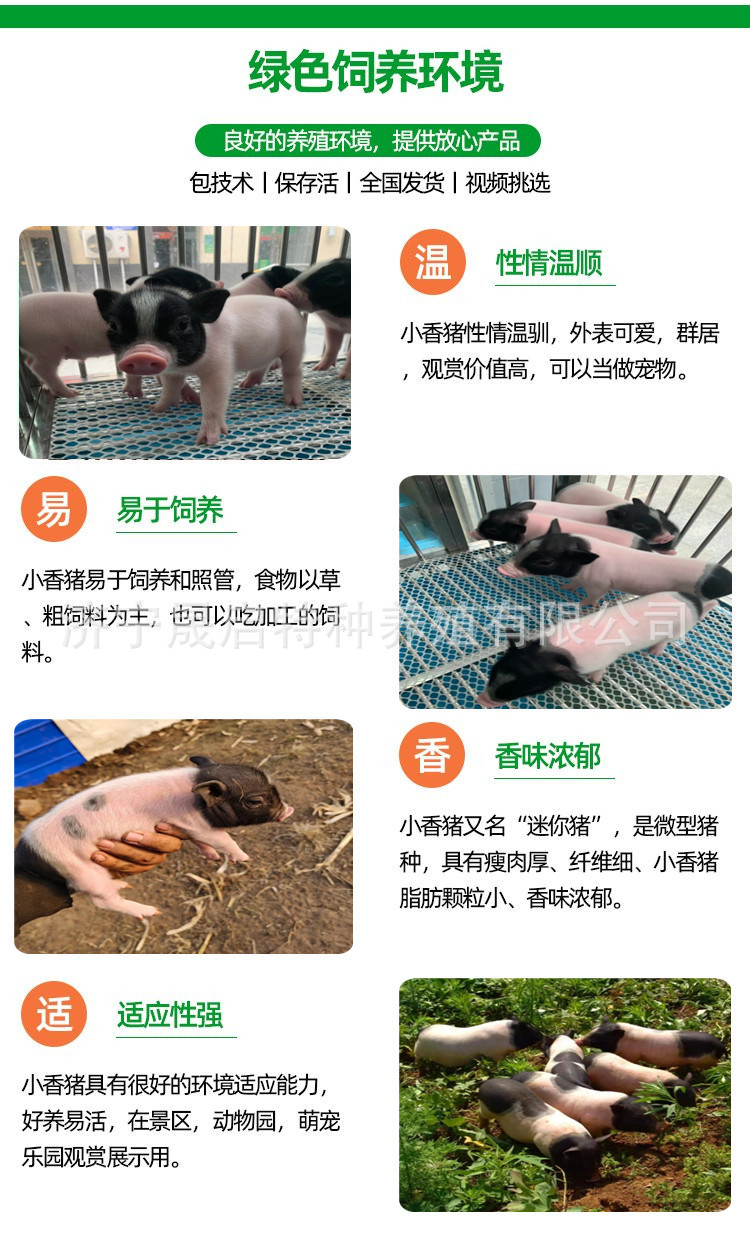 3_副本_副本.jpg
