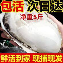 ���rˮ�a��ɽ��Ϡ��ĵϠ���O��ؐl؛��������r��