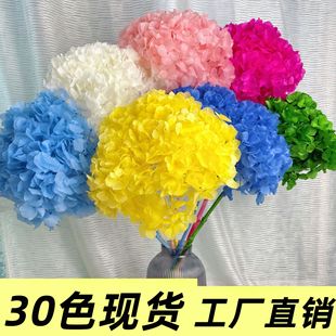 ��ϻ������������~�����֧�Ҿ��b[�� ����ɻ�������ɫ���l