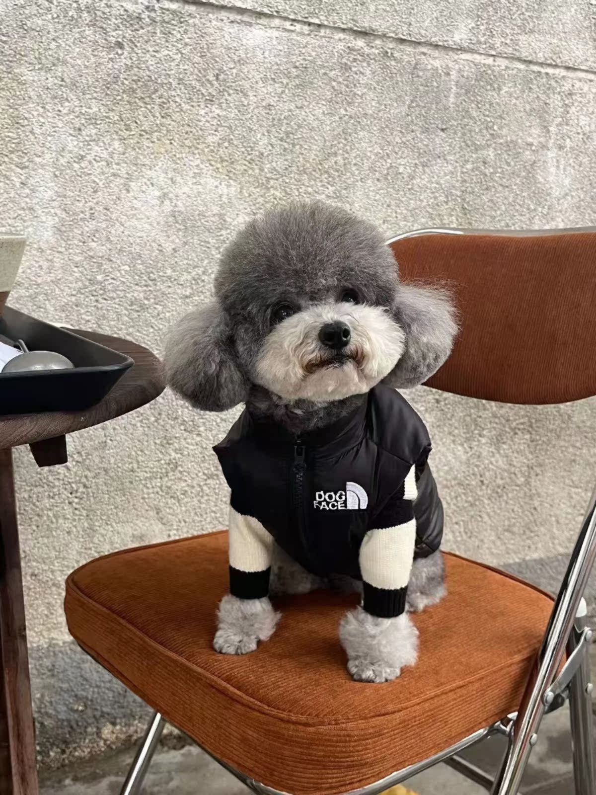 HG 작은 개 개 옷 가을과 겨울 따뜻한 애완 동물 다운 재킷 조끼 방법 개 테디 옷 겨울