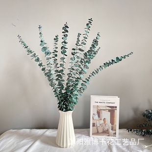 ������l�Gɫ���~�tɫ�ȼ����~ͩ�X������~�����ȼ������l���r��