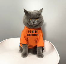 宠物猫咪比熊卫衣小狗衣服猫咪衣服春夏薄款T恤防掉毛你说的都对