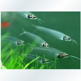 ����؈�~ ؈�^ˮ�� �Ꭷ�~  ͸���~  ؈�~ �^�p�~