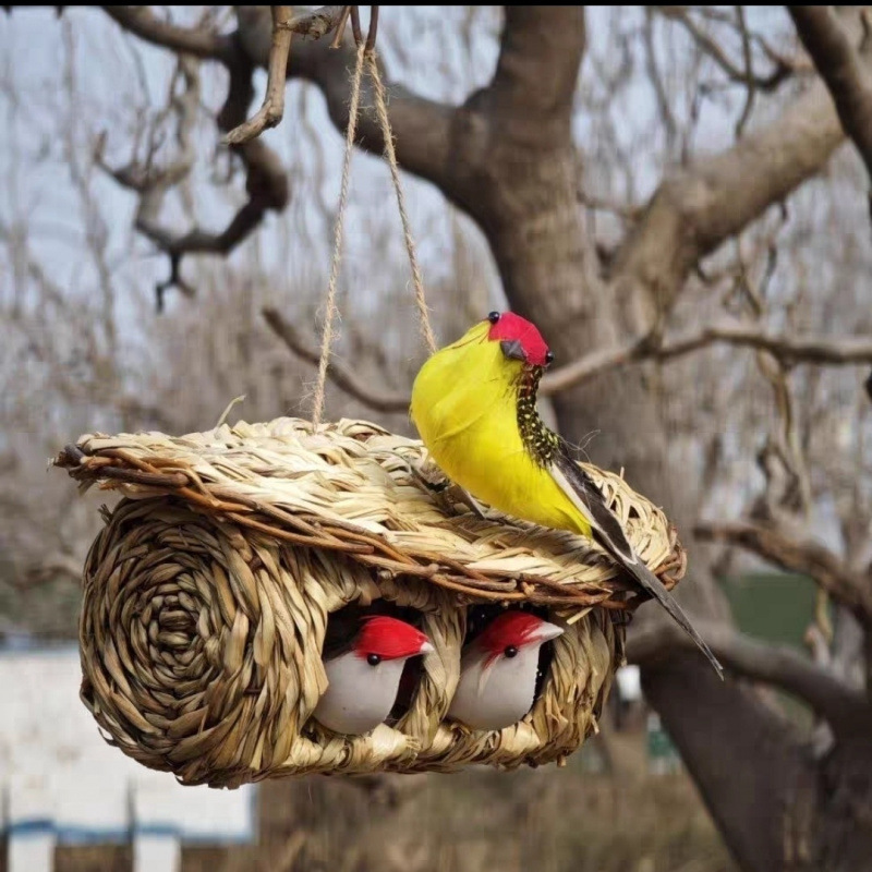 새둥지 2개, 새 1마리, 새둥지 2개