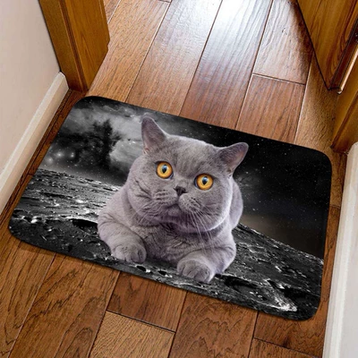 Avtomobil döşəmə paspasları | available for dropshipping - little-kitten-20-4060cm-crystal-velvet