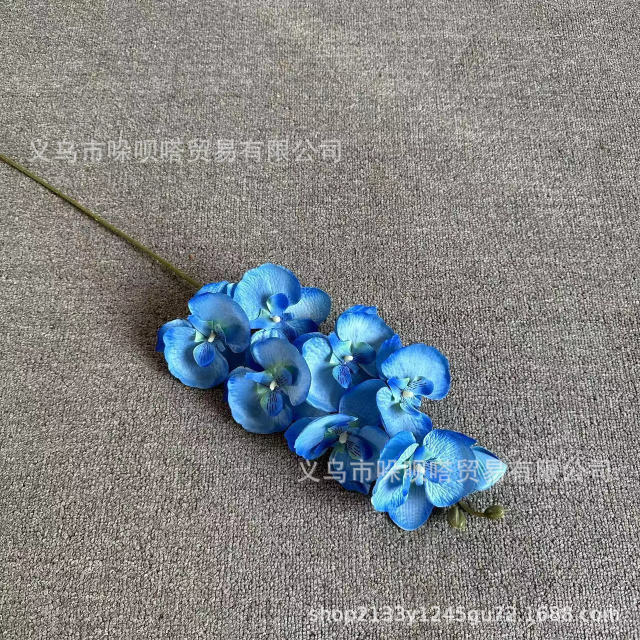 8 실크 호접란 - 파란색과 흰색