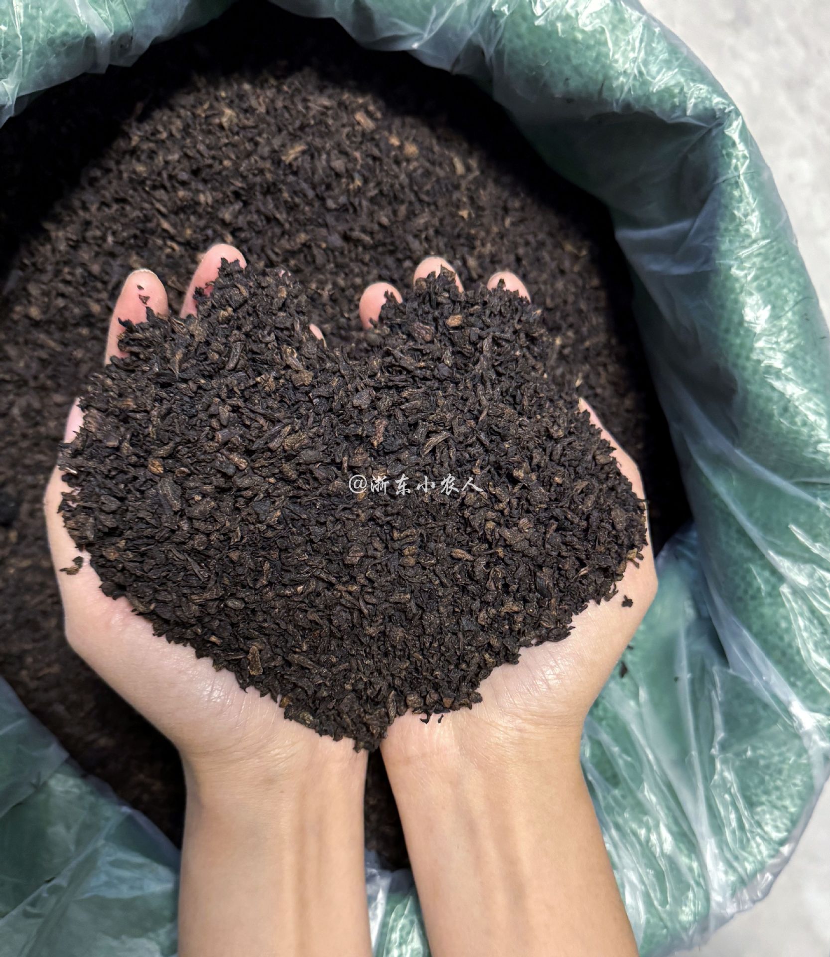 微信图片_20241213182034