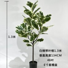 �羳��̷���������~�ű��W�L���ԾGֲܛ�b���̈@���쾰�Ҿ��b�