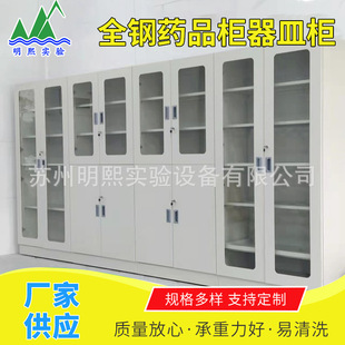 All-steel medicine cabinet container reagent cabinet laboratory laboratory sample locker storage cabinet safety cabinet wholesale
