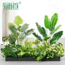 ��HC-BH600��������ֲ�쾰������ϰ��辰��ֲ�����Ը�����װ��
