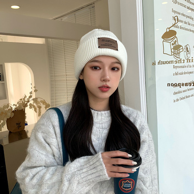 Cap Trend Retro Embroidered Couple Knitted Wool Hat Women Winter Japanese Style Warm Student Korean Version Ins Ear Warm Hat