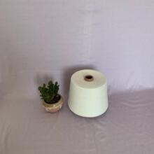 Ī]PETȼȫ⣩PTT⣩ճ