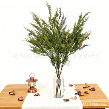 �S�����l����ֲ��5�^���Ɏ��ɹ��٠���ڒ��Ҿ��b����[��