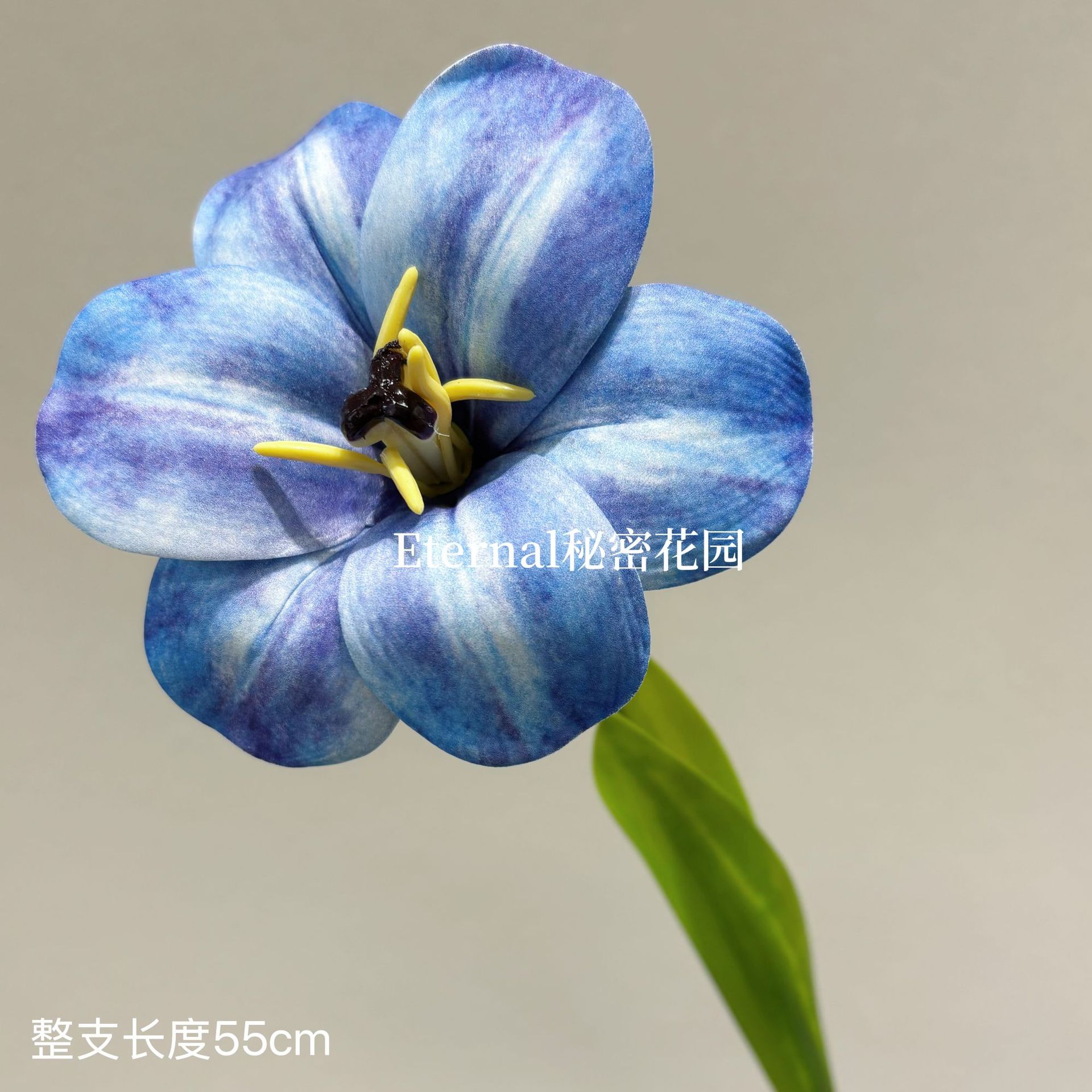 EVA 플립 튤립