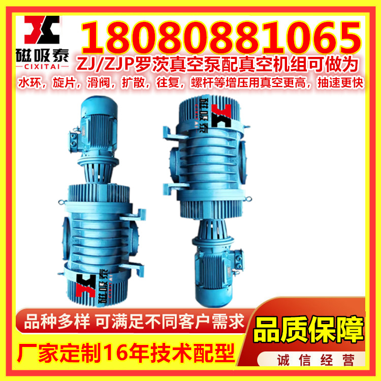 石家庄ZJP罗茨真空泵，罗茨真空机组系列 真空泵罗茨泵维修 保养