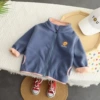 Little Lion Blue
