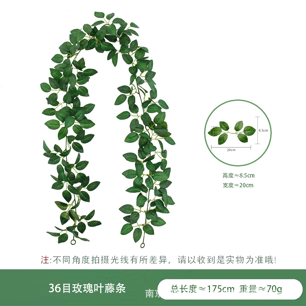 微信图片_20250410142124