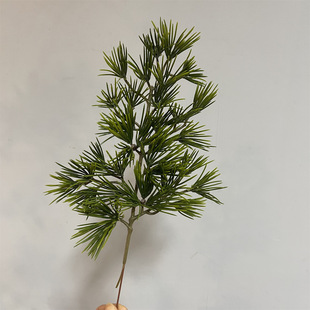 ����ֲ����֦�y��}�Q��ᘼҾ��b��՚�յ��ߔ[���ձ��ɘ��~��