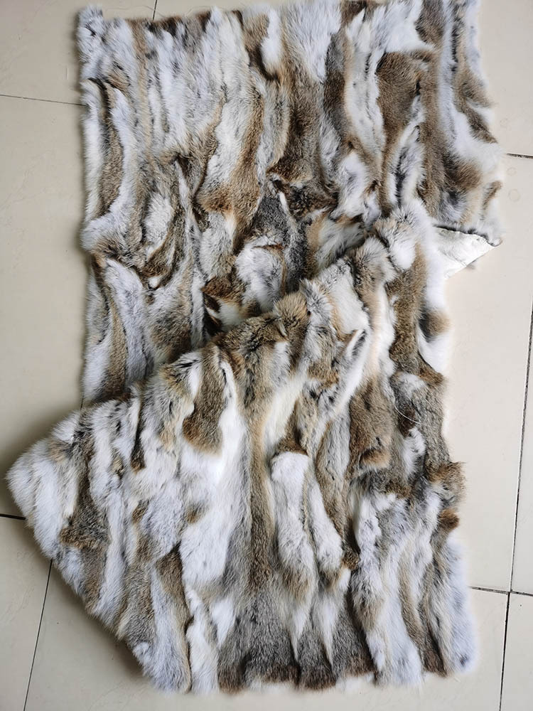 新建文件夹IMG_20200911_160530