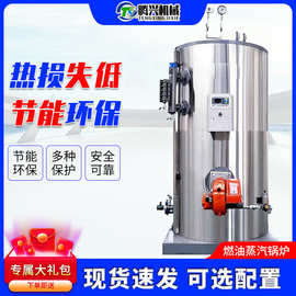 燃油燃气热水锅炉生物质锅炉导热油锅炉酿酒豆腐蒸馒头蒸汽发生器
