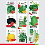 麒麟/黑皮/黄皮/懒汉/2K/早春红玉/盆栽西瓜种子家庭园艺植物优选