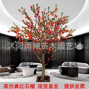 ����ʯ����b�ɽˮ�٘��̈�չ�d���ղ��÷����ʯ����Ә�Gֲ