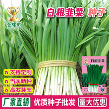 791���~ѩ�������׸��²˷N�Ӵ������N�r����@�̨�߲˷N��