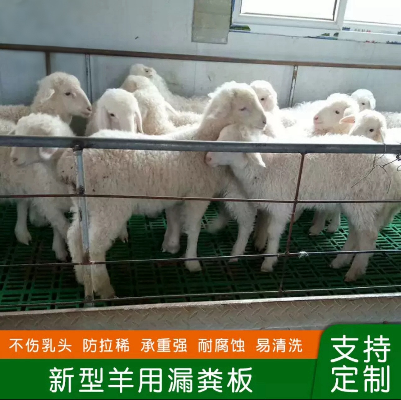 Tablero de fugas fecales, construcción de gallineros, fabricantes de equipos de granjas de cerdos, lecho de parto de cerdas y lechones, tablero de fugas fecales de plástico