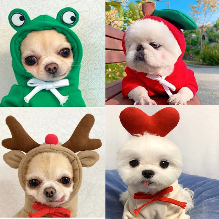 강아지옷이 강아지와 고양이옷으로 변신, 중소형견 가을겨울 애완용품, 테디프렌치불독 고양이옷 제조업체